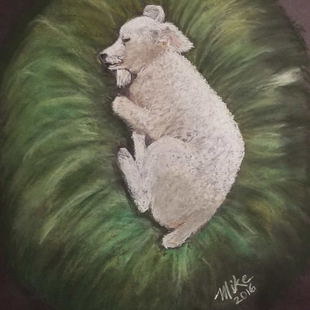 Original Rendition of Man's Best Friend